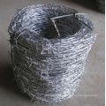 Electric/Hot Dipped Galvanized Barbed Wire